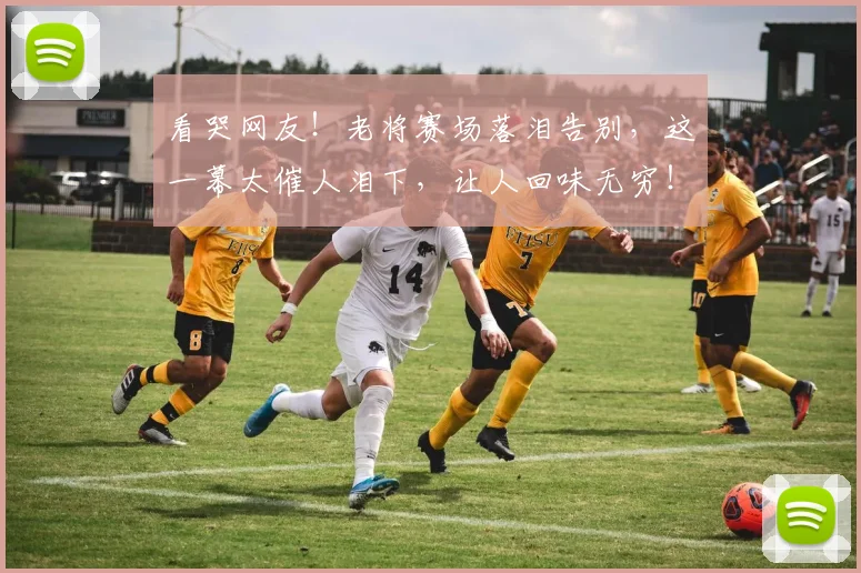 看哭网友！老将赛场落泪告别，这一幕太催人泪下，让人回味无穷！